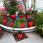 Themis - Θέμις Apart Hotel 4* Lutrá Edipszú